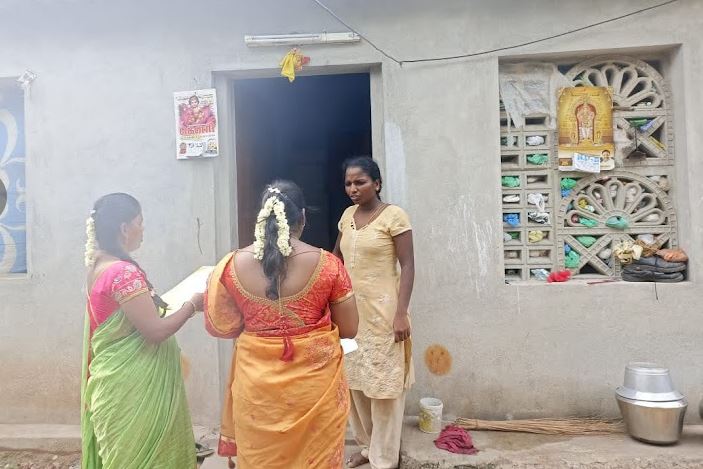  Sélection de nos nouveaux petits de la LKG (Mala India )