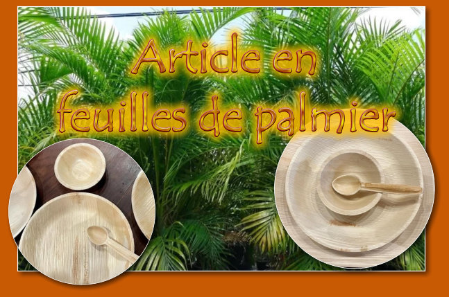  Articles en feuilles de palmier Areca