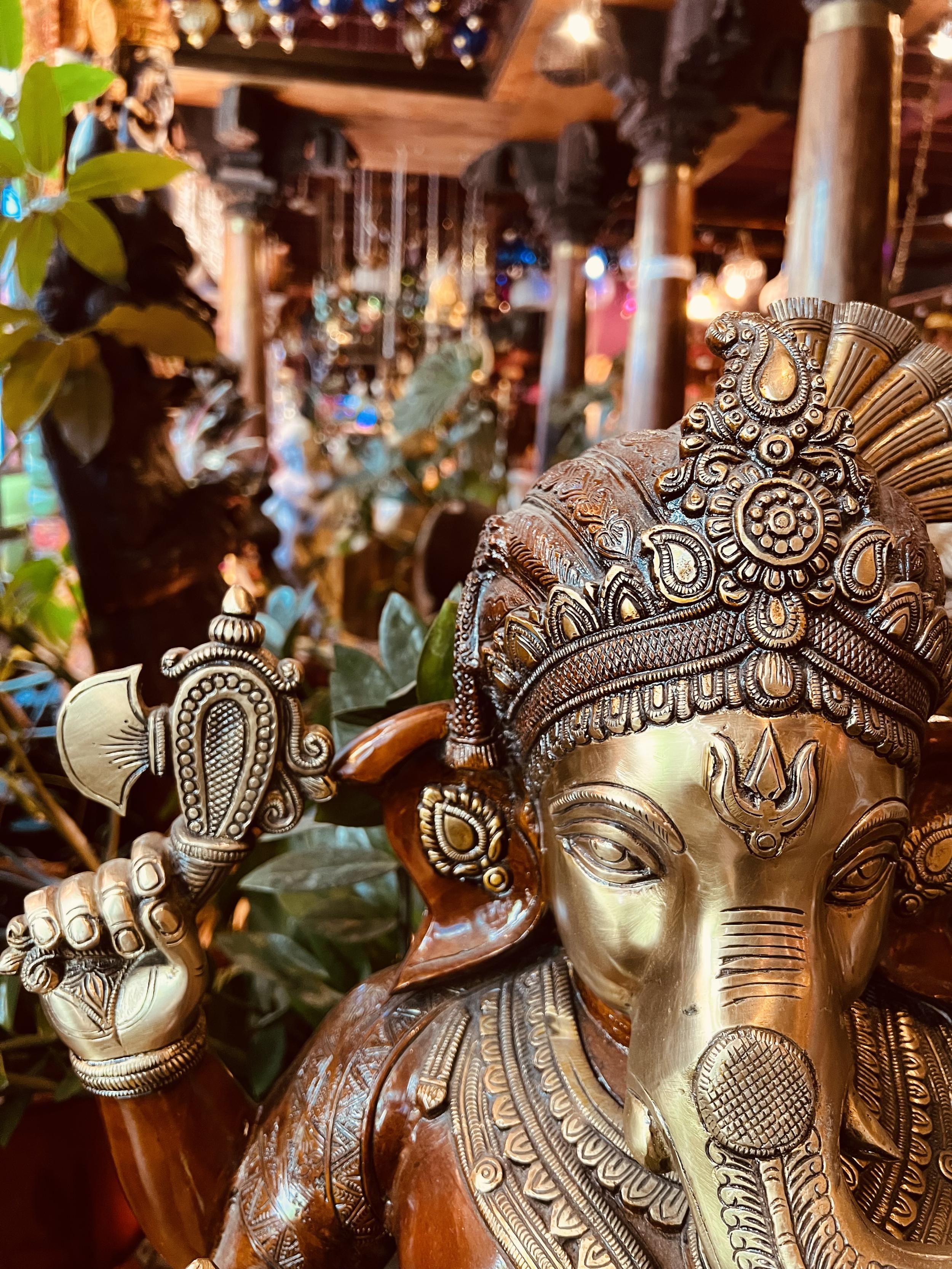 Galerie photos de notre magasin (Mala India)