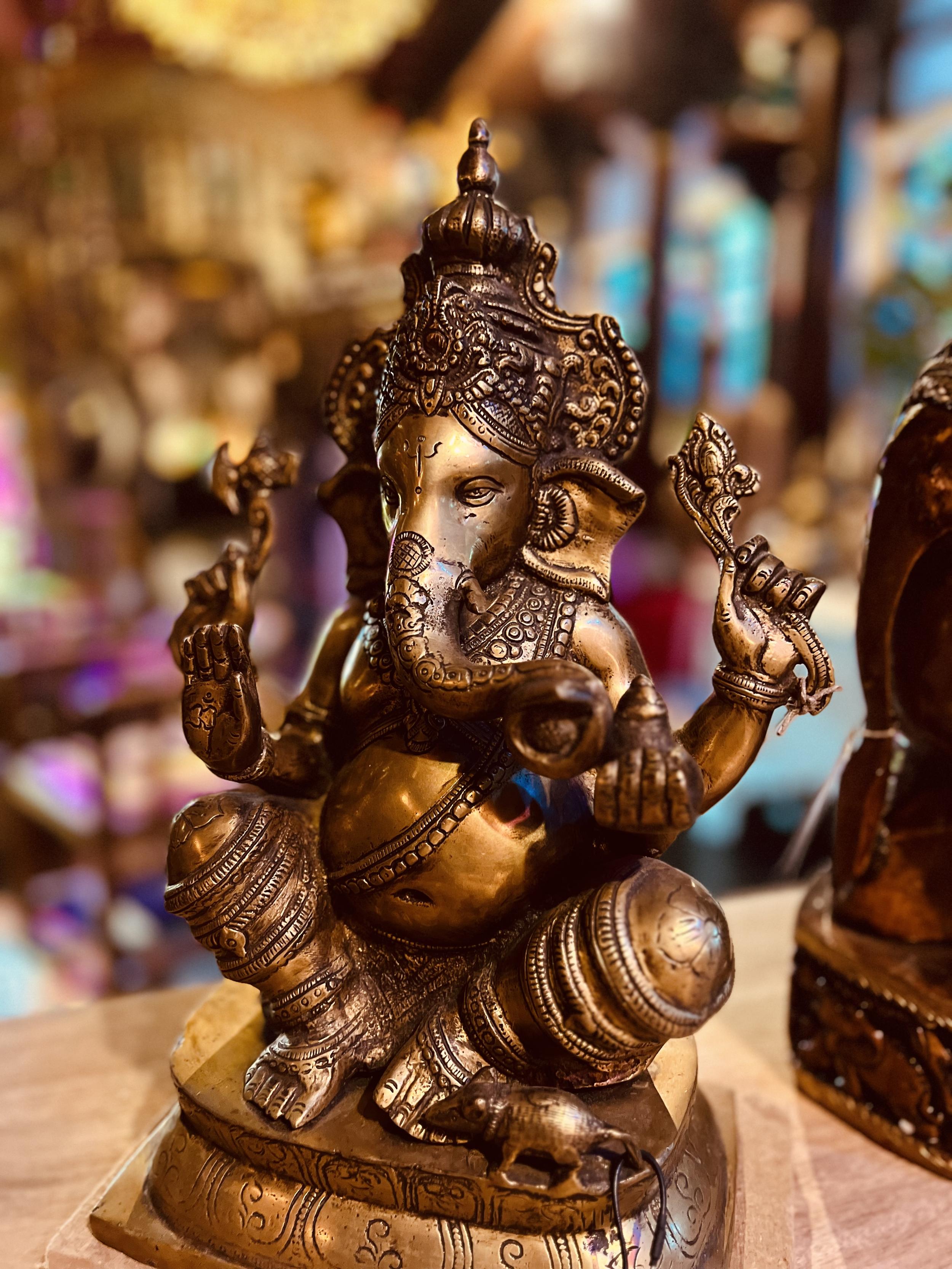 Galerie photos de notre magasin (Mala India)
