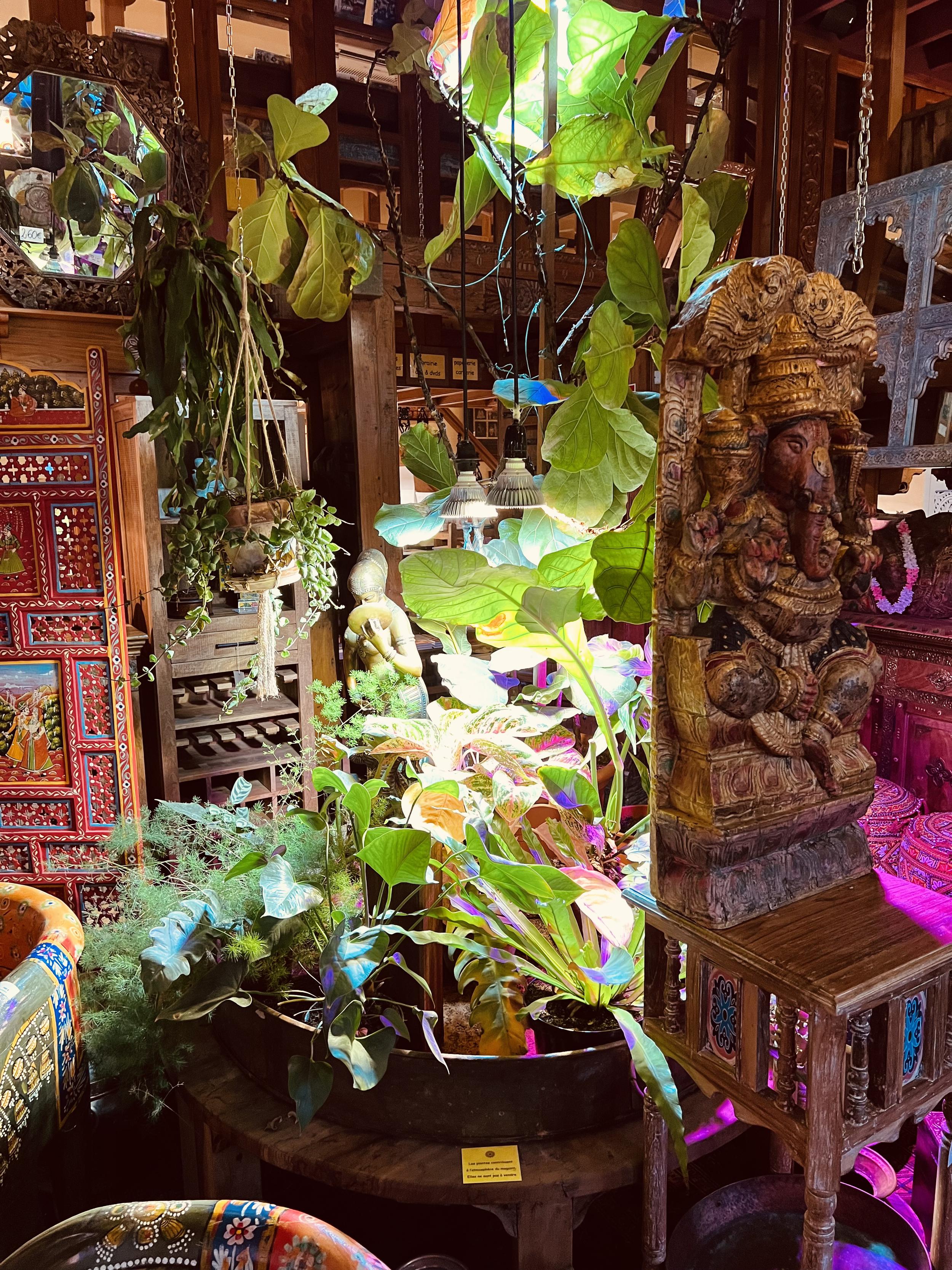 Galerie photos de notre magasin (Mala India)