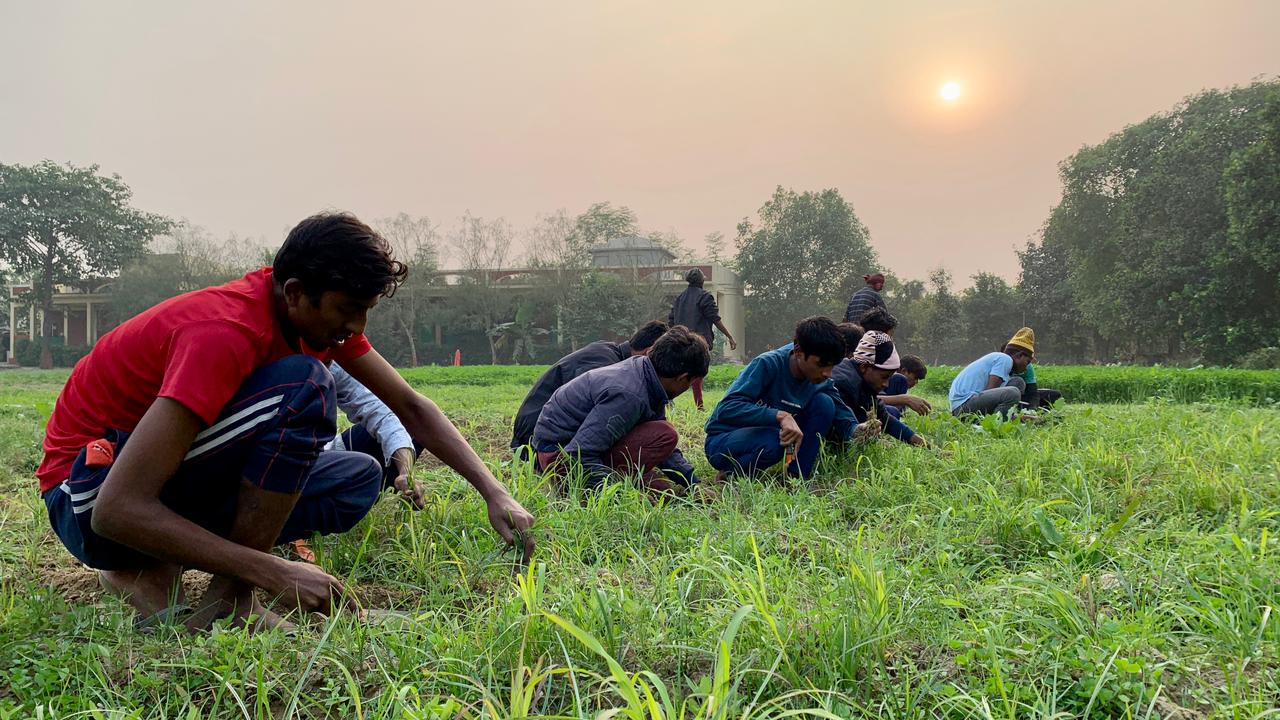 Galerie photos de nos projets en Inde (Mala India)