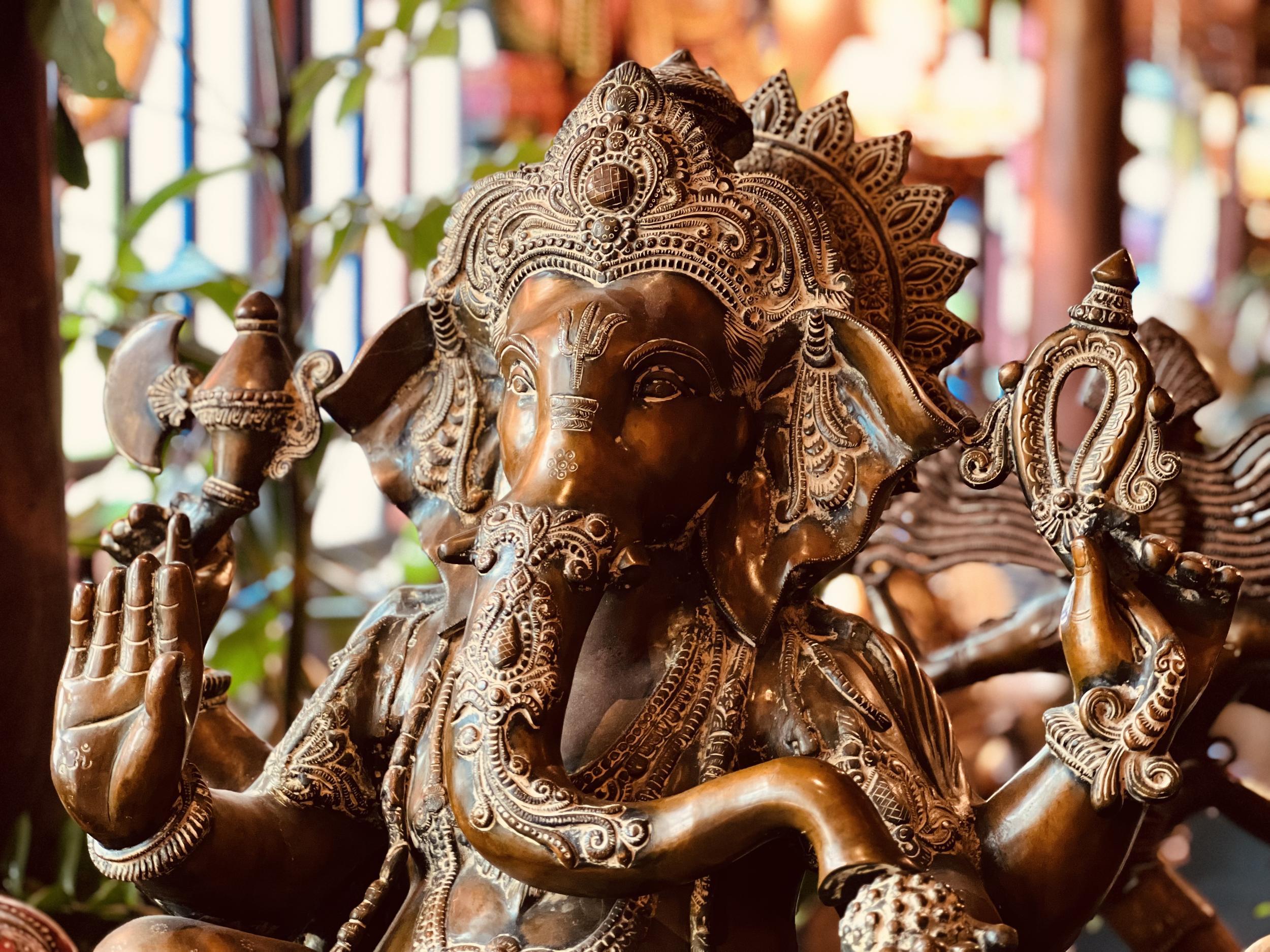 Galerie photos de notre magasin (Mala India)