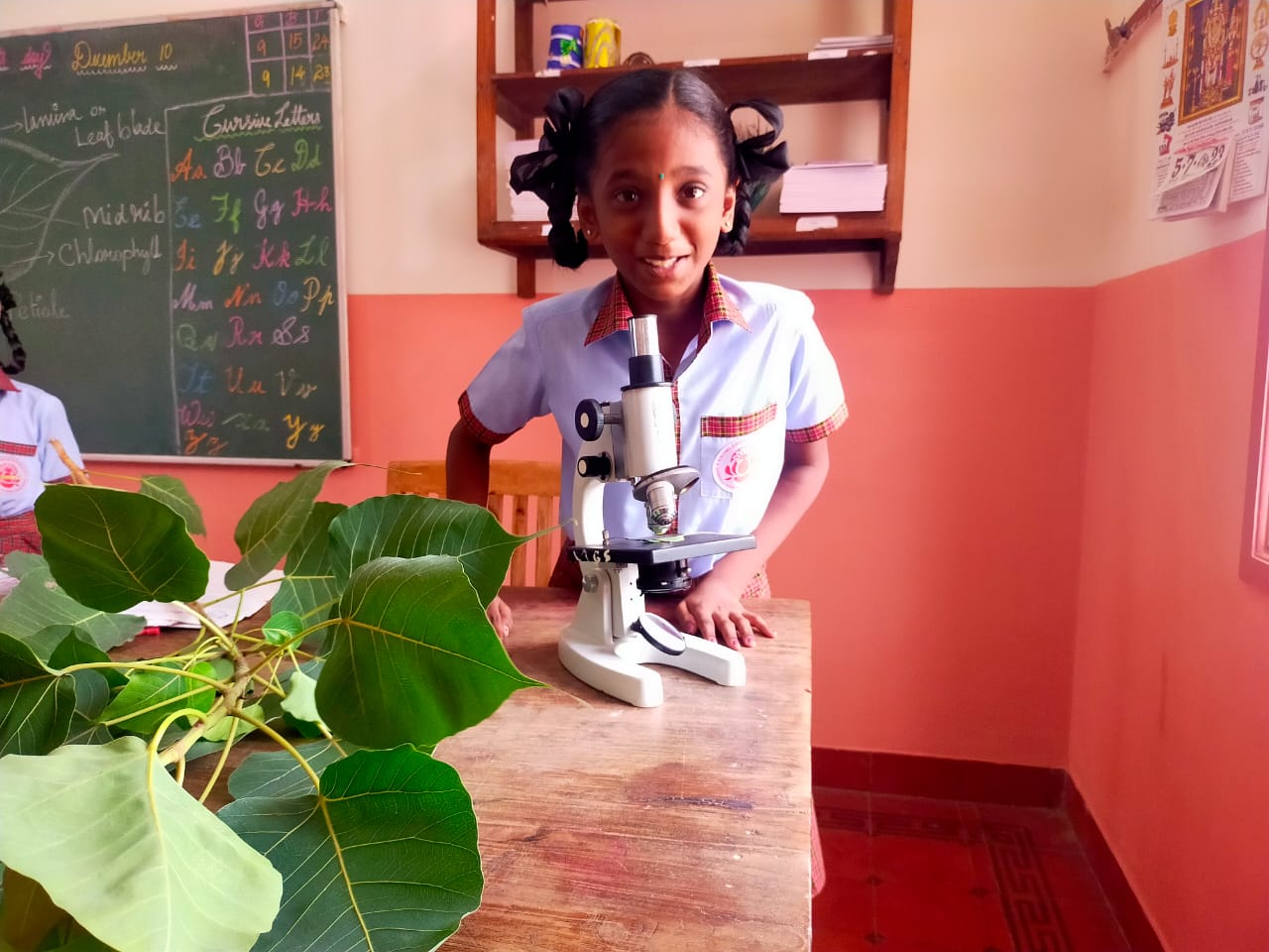 Galerie photos de nos projets en Inde (Mala India)